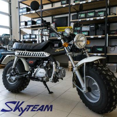 China SKYTEAM T-REX 50cc 4 Stroke On Road Motorcycle (ECE Approved, 5.5-10