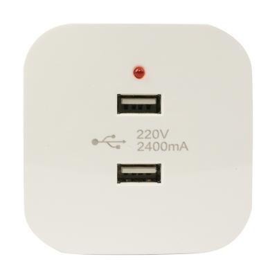 China Convenient RTS USB Style Electrical Equipment White Socket 2 Ports Classic Wall Switches And Sockets for sale