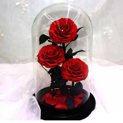 China Holiday decoration & Eternal Eternal Rose Flower Gift Active Three Pieces Preserved Rose In A Glass Dome For Valentine's Day Gift for sale