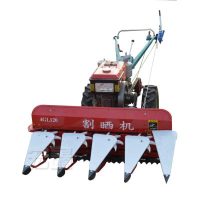 China Hot sale paddy rice /tall grass/rice wheat/alfalfa harvester made in China for sale