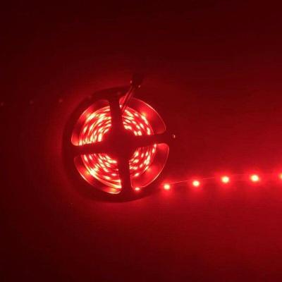 China Hot sale Project RGB 5050-30leds - 12V-IP65-wifi led strip light for sale