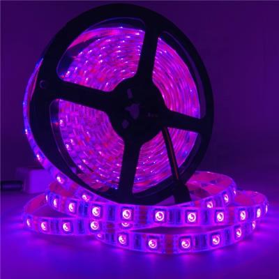 China Desktop Flexible Led Strip Light 5050 Waterproof 5 Meters 300 LED Single Color RGB With Controller for sale