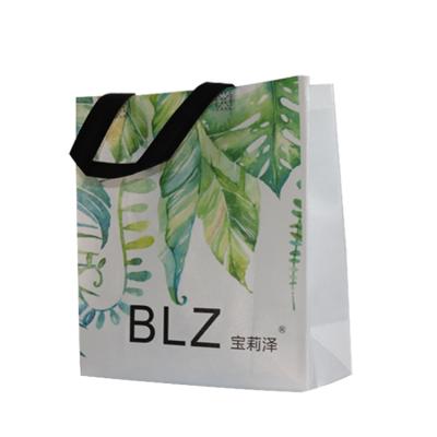 China Shopping pp non woven non woven shopping bag promotion gift bags lamiantion bag for sale