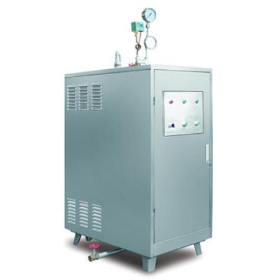 China VERTICAL Food and Beverage Industry Steam Generator Boiler Steam Generation Small Electric Heating Tank for sale