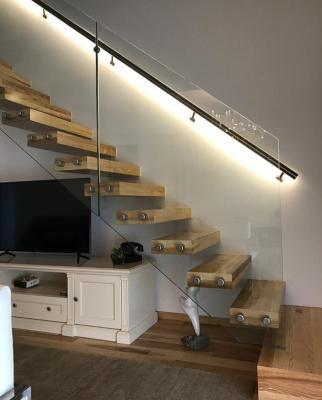 China Modern Interior Modern Wooden Tread Floating Straight Stairs With Glass Enclosure Plant for sale