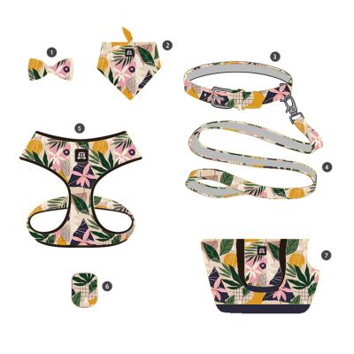 China New Arrival Fashionable Custom Made Padded Print Dog Leash Set No Pull Dog Harness Luxury Dog Harness Set for sale