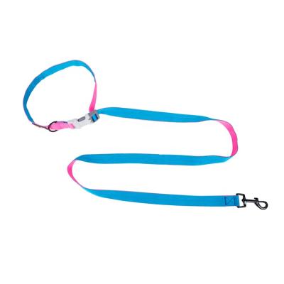 China Midepet Padded New Arrive 2021 Colorful Dog Training Leash Lead, Easy Walk Custom Matching Pet Dog Leash for sale