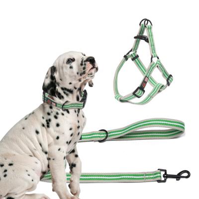 China Custom Padded Factory Price Midepet Adjustable Dog Leash Rope Harness Dog Puppy Harness And Leash Set for sale