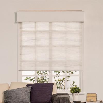 China Rustic High Quality Electronic Motorized Roller Shades for sale