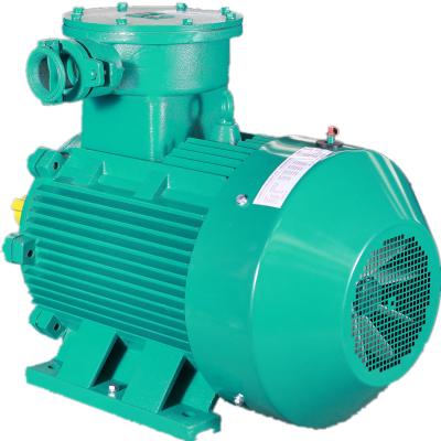 China Totally Enclosed AC Motor Winding Rotor Voltage Dustproof Medium Motor for sale