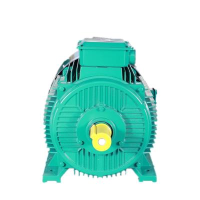 China Best Quality Fully Enclosed Slip Ring Motor Explosion-Proof Motor for sale