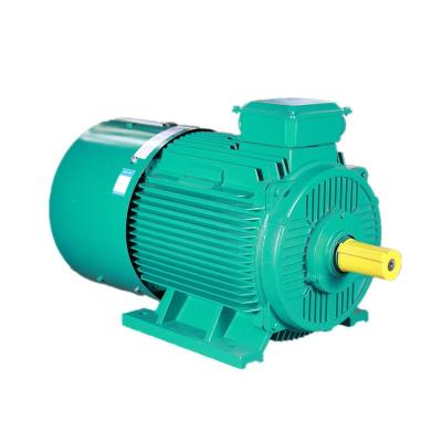 China Hot Sale Totally Enclosed Slip Ring Motor Explosion-Proof Motor for sale