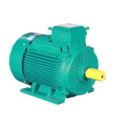 China Good quality motor synchronous motor totally enclosed dustproof middle voltage motor with best quality for sale