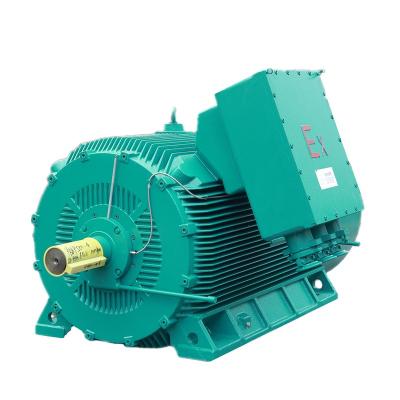 China Custom Electric Motor Motor Explosion Proof AC Motor Totally Enclosed for sale