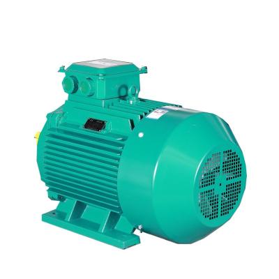 China Totally Enclosed AC Motor Winding Rotor Voltage Dustproof Medium Motor for sale