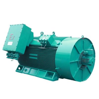 China Totally Enclosed Winding Rotor Durable Dustproof Motor AC Motor Medium Voltage Motor for sale