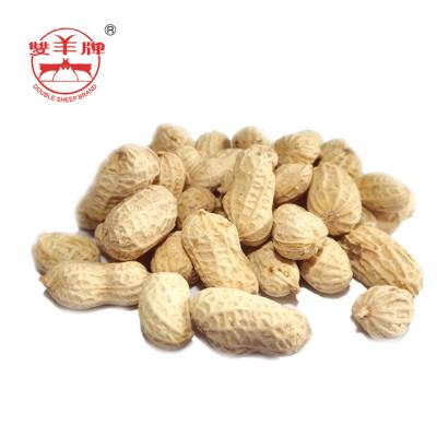 China Dried Chinese Delicious Roasted Peanuts With Shell Longyan Peanut Rosated Peanut for sale