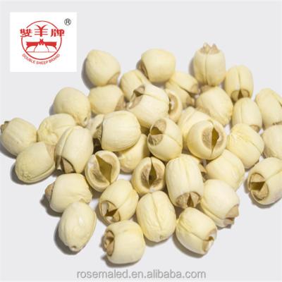 China Lotus Seed Without Peel And Dry White Organic Dry Plumule for sale