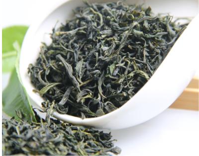 China loose china cha Mei green tea europe tea label organic standard chunmee tea 41022 for sale