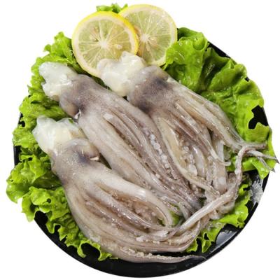 China Gaint factory price main squid head 10kg 15kg 20kg seafood wholesale high quality frozen squid for sale