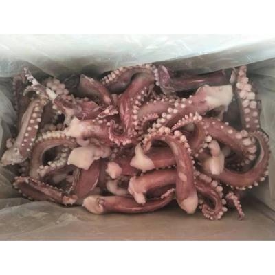 China Gaint High Quality Frozen Seafood Squid Tentacles Todarodes Pacificus 80-120g 80-120g 120-150g Factory Price for sale