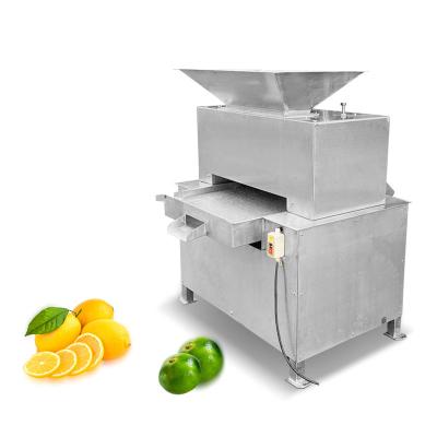 China Commercial Snacks Factory Juicer Extractor Machine Lemon Juicer Machine Fruit Juicing Machine for sale