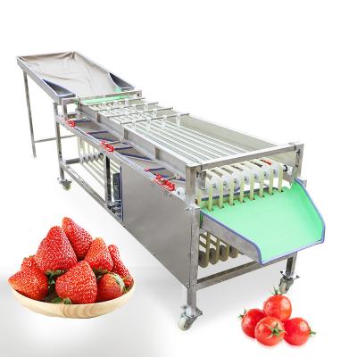 China Automatic Orbital Dimension Grader Fruit Processing Plant Fruit Dimension Grader Cherry/Plum Orbital Grader for sale