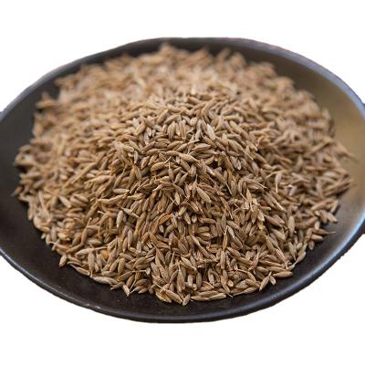 China High sales factory direct processing spice black dry cheap cumin seeds for sale