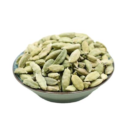 China Fresh Quality Whole Green Cardamom Big Green Premium Cardamom for sale