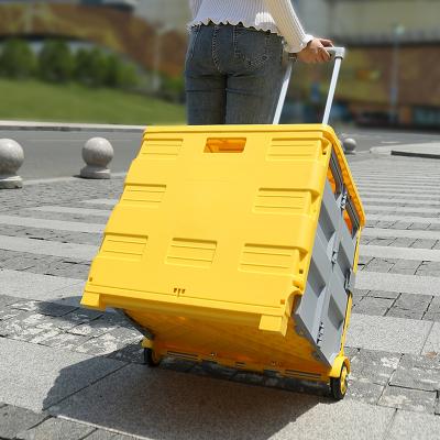 China Eco-friendly Plastic Hand Market Carry Supermarket Seat Shopping Cart Carts Portable Foldable Shopping Carts for sale