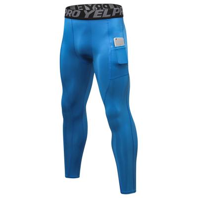 China Gym Supplier Compression Breathable Clothing Men's Sports Professional Workout Pants Mens Arm Warmers for sale