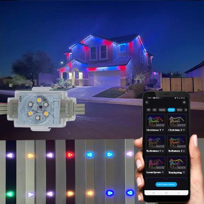 China Permanent holiday lighting Twinklight Christmas Light Rgb And Rgbw Permanent Christmas Light Track for sale