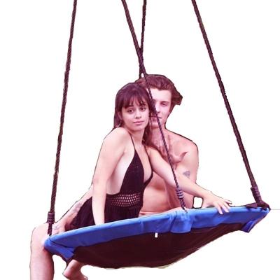 China Outdoor game Camila Cabello the same nest swing for sale