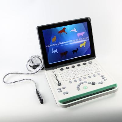 China PRUS-S8000V 15inch laptop ultrasound scanner machine for veterinary use PRUS-S8000V for sale