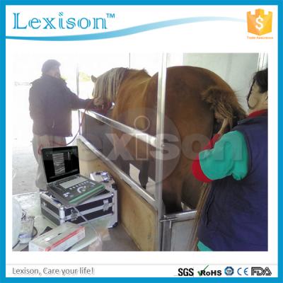 China Portable Veterinarian Ultrasound Machine For Dog Horse Pregnancy Test 15 Inch LCD Screen for sale