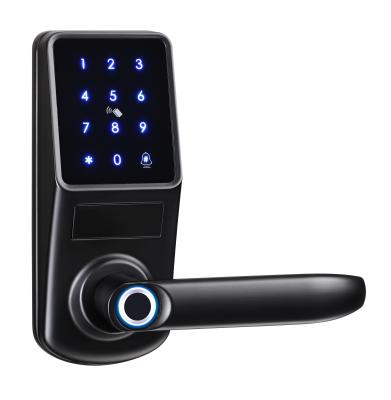 China Home/Apartment/Airbnb/Fingerprint Card Code Digital Door Lock Remote Control Bolt Smart BLE WiFi Office/Hotel Cerraduras Electronicas for sale