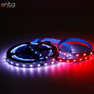 China Entertainment Venues / Business Center / Custom Wholesale 60Leds 24V 5M Rgb Shopping Mall + W6500K Color Motion 5050 Rgbw Strip Led Strip Lights for sale