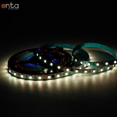 China High Quality Project OEM 10Mm Fpc Board DC 24V Lighting And Circuits Design Led Strips Shenzhen for sale