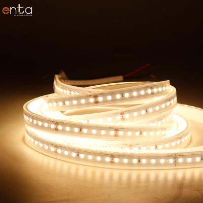 China Indoor / Bedroom / Quick Customization 2700K+6500K 2 In1 Ip66 2835 CCT Commercial / Hotel / Apartment Led Light Strips for sale