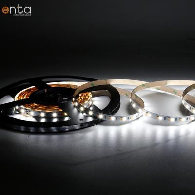 China Indoor/Bedroom/Commercial/Hotel/Apartment CW 5Mm Manufacturer From Supplier 120Leds 6500K Led Strip 2835 By 24V 5 Meters for sale