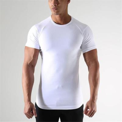 China Wholesale QUICK DRY Simple Color Muscle Sports Wear Running Short Sleeve Mens T Shirts for sale