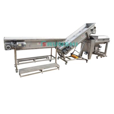 China Factory grape crusher machine for removing grape for stemming and crushing grape for sale