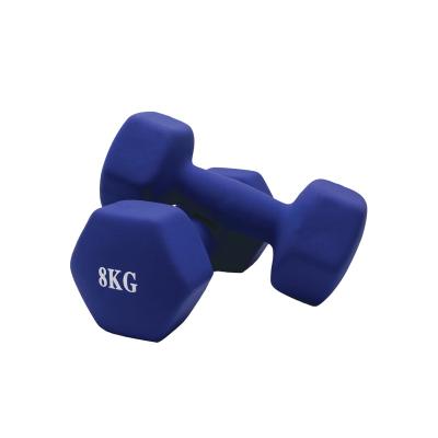 China Exercise Muscle Factory Process Matte Surface Plastic Dip Cast Iron Set Gym Training Fitness Equipment Dumbbell for sale