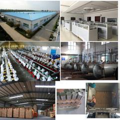 Verified China supplier - Zhangzhou WinWin Imp. & Exp. Co., Ltd.