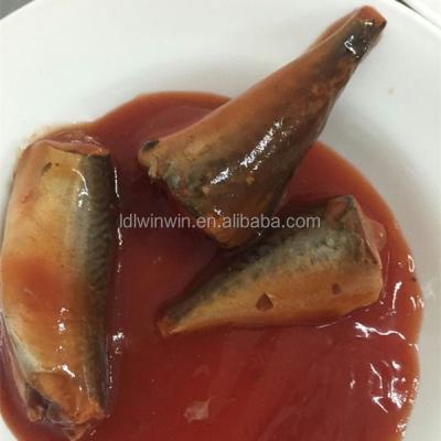 China Canned Pilchard in Tomato Sauce for sale