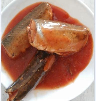 China Canned lata in sardinas en tomato salsa 155g for sale