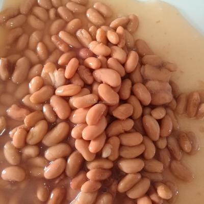 China Canned Pinto Beans Italy Factory Producer Canned Manufacturer for sale