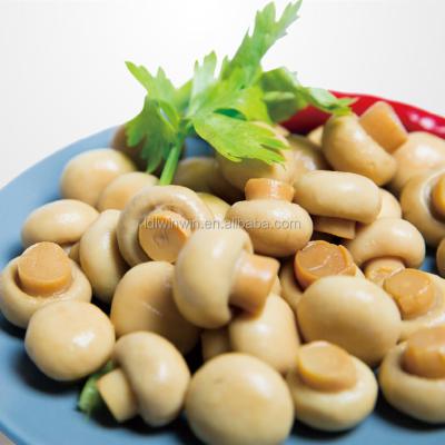 China Canned Whole Canned Mushroom Grower Factory Manufacturer for sale