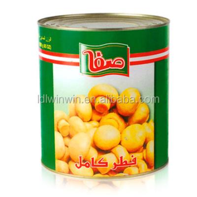 China Canned halal foods in canned mushrooms for sale