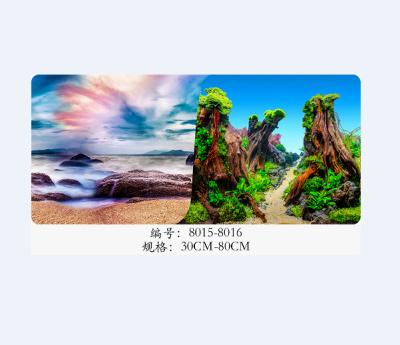 China Viable Aquarium Background 3D Double Sided Aquarium Decor Backdrop Sticker for sale